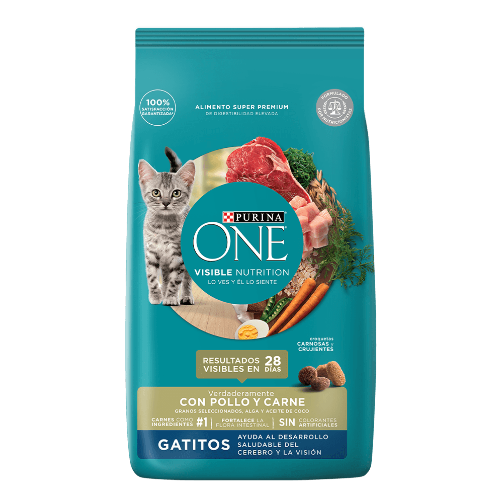 Comida seca para gatitos con pollo y carne. 