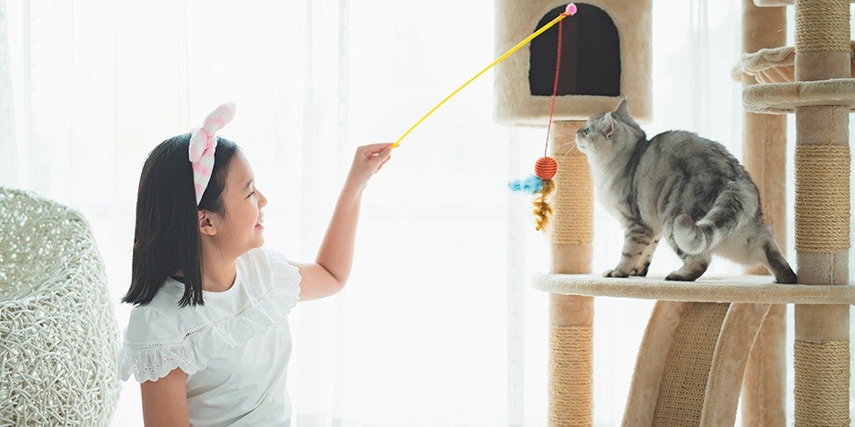 Mejores juguetes para gatos - Importancia Dale a tu michi los mejores juguetes para gatos, como hace esta niña con su mascota.