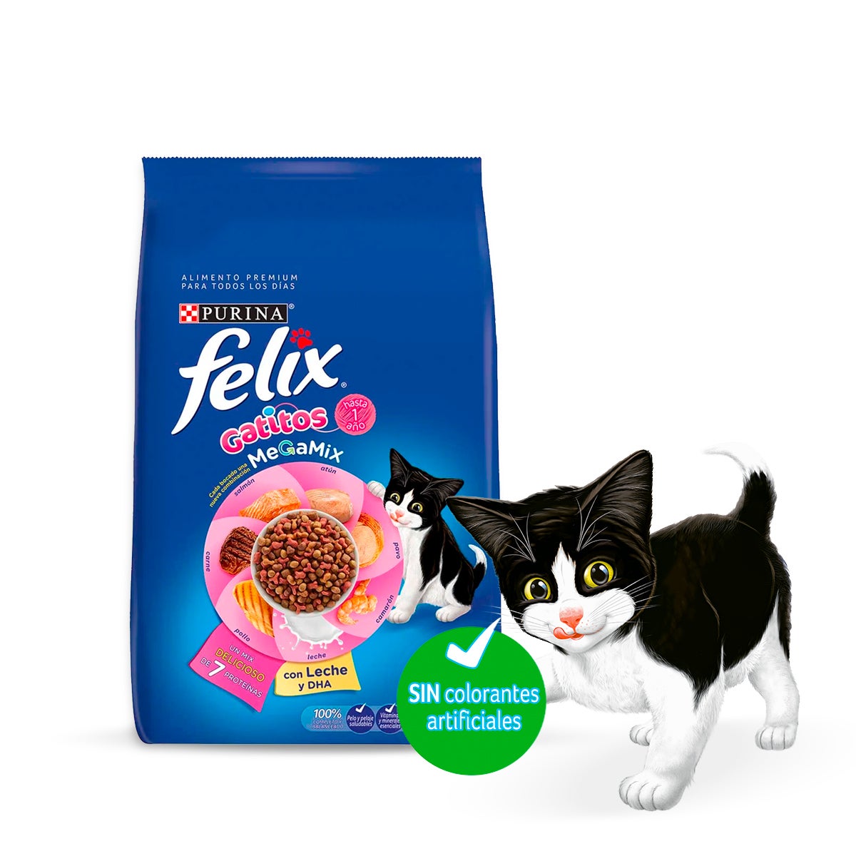 Gatitos_0.jpg