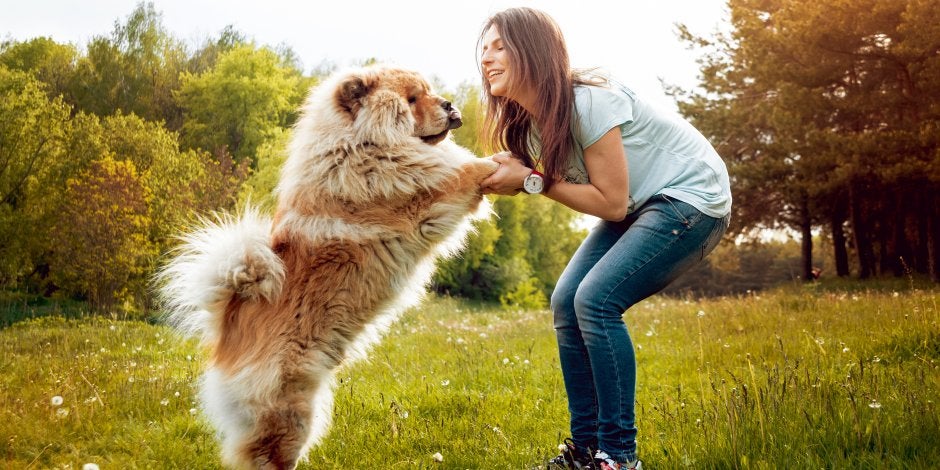 nombres para perritas de tamaño grande