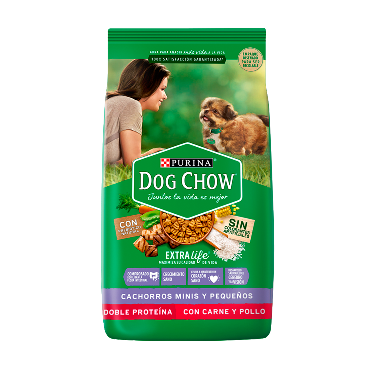 dog-chow-puppy-minis-carne-pollo-front.png