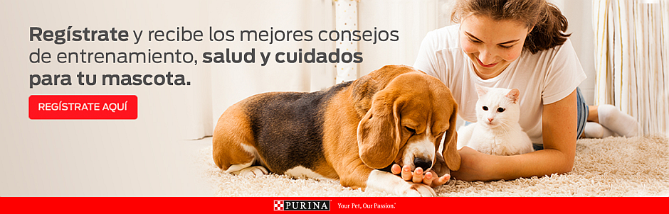 purina-registrate.png