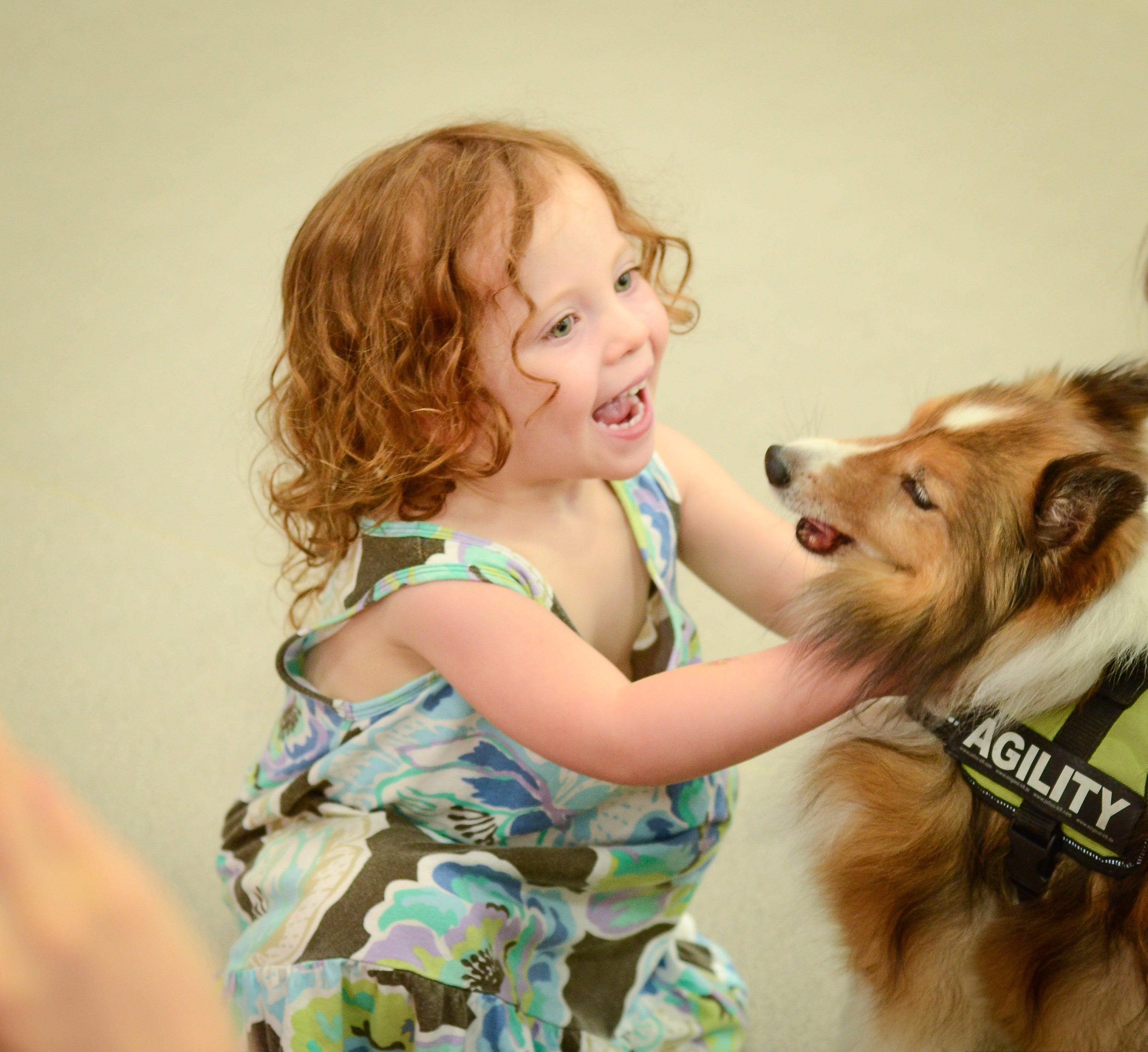 Razas de perros medianos – Perfectos para niños Diversas razas de perros medianos son perfectas para compartir con los niños, como este collie.