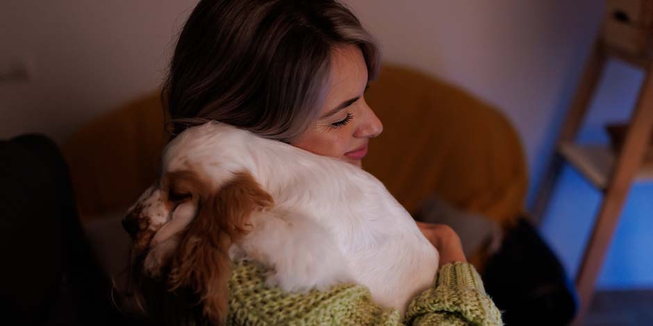Cómo ayudar a calmar a tu mascota de los fuegos artificiales - empatía Estar tranquilos frente a nuestro compañero ayudará a calmar a tu mascota de los fuegos artificiales.
