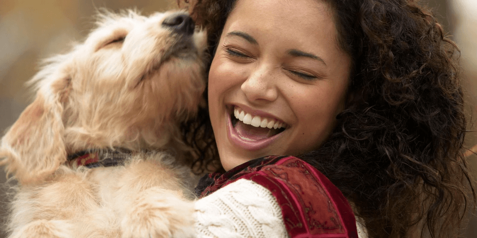 los_perros_reducen_stress los_perros_reducen_stress