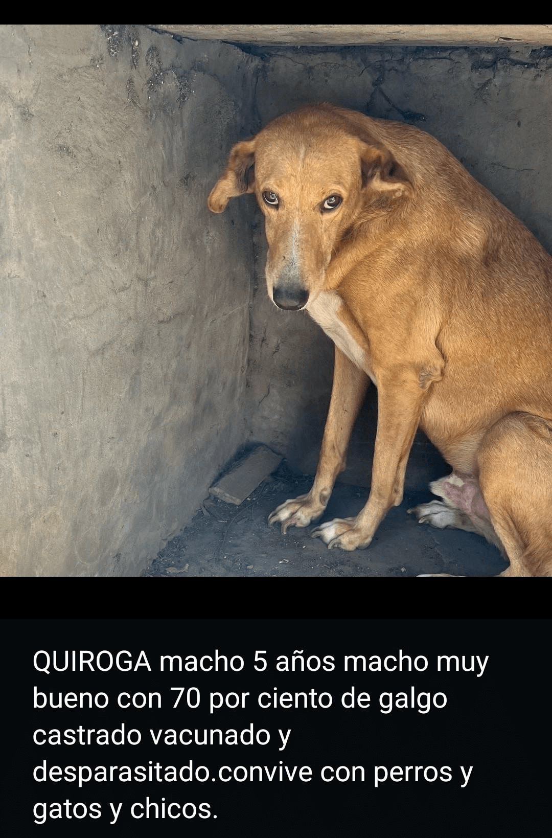 Quiroga