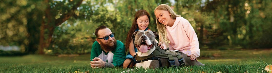 Alergia a los perros. Una familia multiespecie en el parque, que ni una alergia a los perros la separaría.