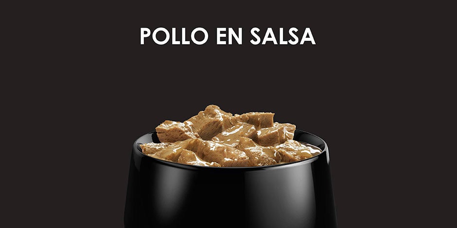 Alimento para perros viejos con pocos dientes – Comida húmeda Alimento húmedo de pollo en un tazón, ideal para perros viejos con pocos dientes.