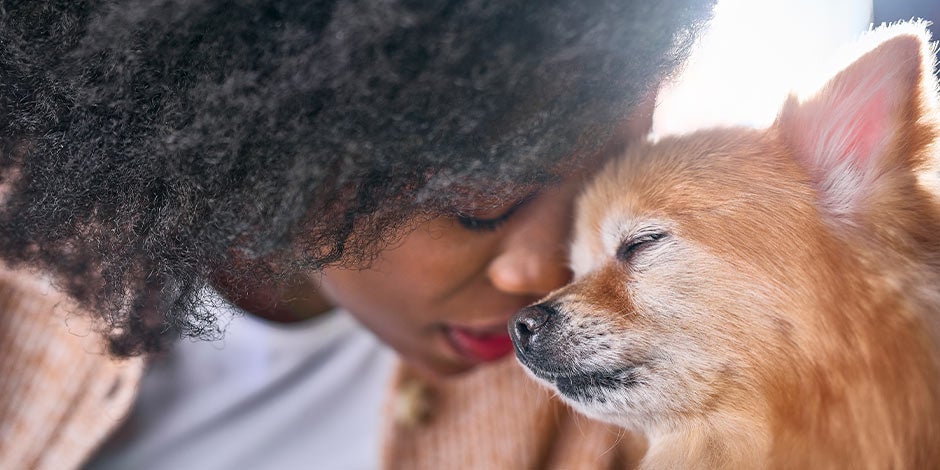 Beneficios de tener un perro- Empatía Una gran empatía hace parte de los beneficios de tener un perro. Mujer junto a chihuahua.