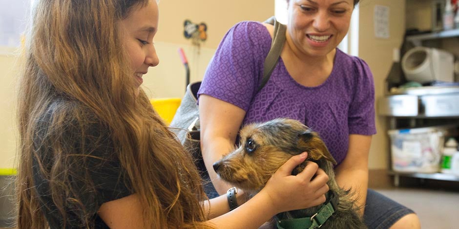 Beneficios de tener un perro Familia acompañada por su mascota, uno de los más importantes beneficios de tener un perro.