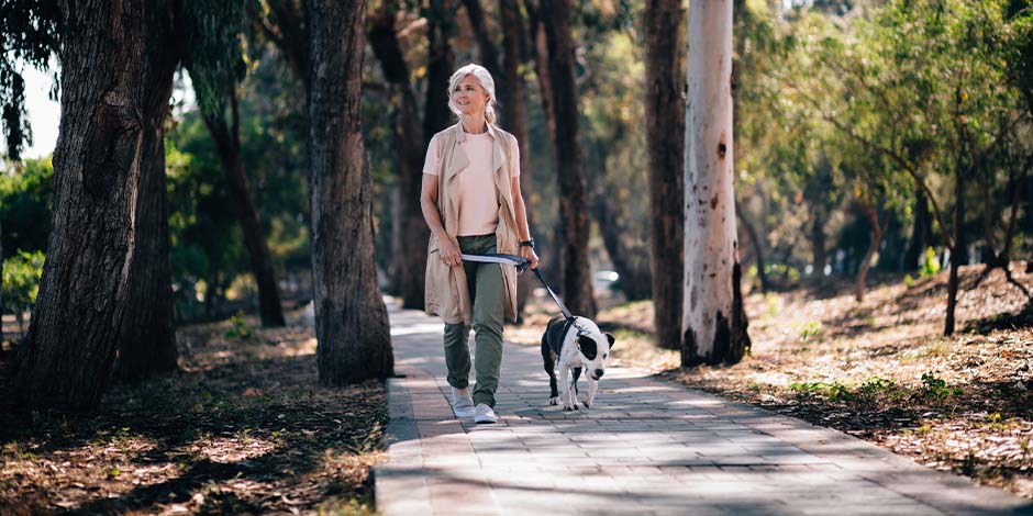 Perros para adultos mayores - Paseo Tutora caminando junto a su mascota. Los perros para adultos mayores también requieren pasear.