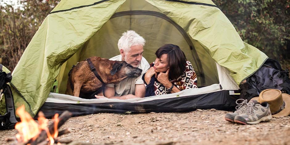 Perros para adultos mayores – Sin raza Perro de los llamados “sin raza” en carpa para camping acompañando a dos adultos mayores.