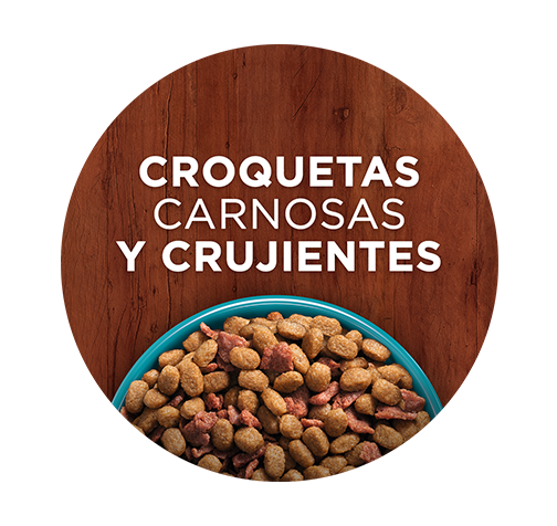 purina-one-dry-cat-beneficio-2.png purina-one-dry-cat-beneficio-2.png