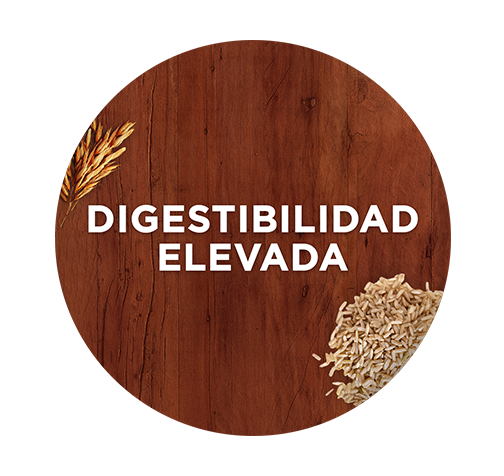 purina-one-dry-cat-beneficio-4.png purina-one-dry-cat-beneficio-4.png