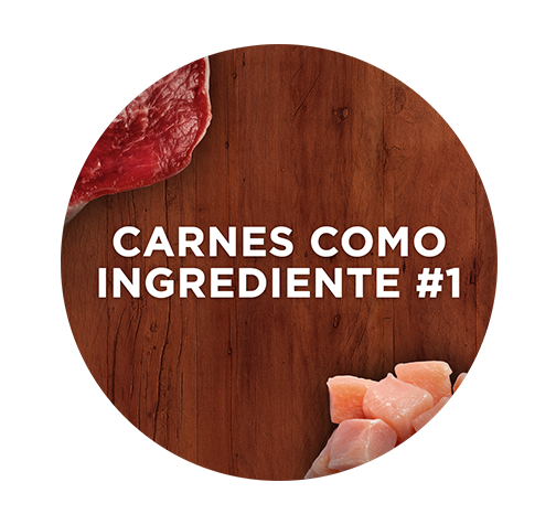purina-one-dry-dog-beneficio-1.png Alimento para perros Purina One con carnes como ingrediente principal.