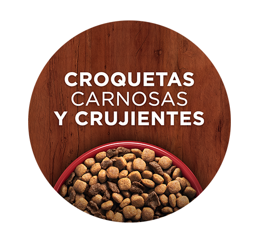 purina-one-dry-dog-beneficio-2.png Croquetas para perro Purina One, carnosas y crujientes, que potencia la energía y la salud de tu perro.