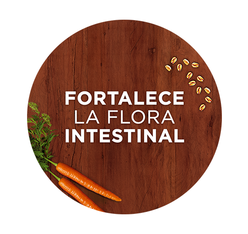 purina-one-dry-dog-beneficio-3.png Purina One fortalece la flora intestinal de los perros para una salud digestiva óptima