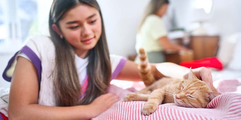 Higiene de mascotas – Gatito sobre la cama Gatito sobre la cama junto a su tutora. Cuidá la higiene de tus mascotas sin descuidar la de tu hogar.