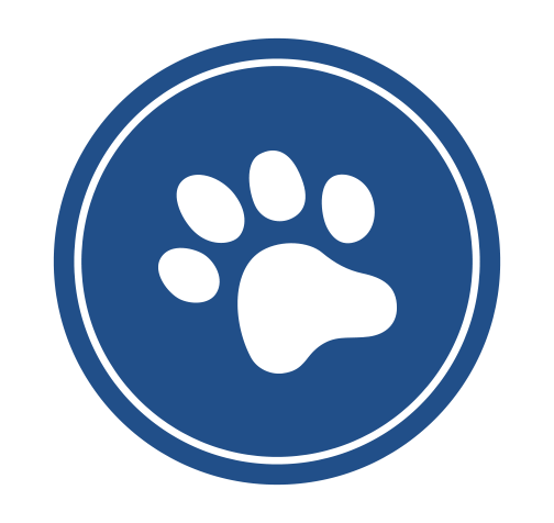 beneficios alimento para gato felix completo y balanceado beneficios alimento para gato felix completo y balanceado
