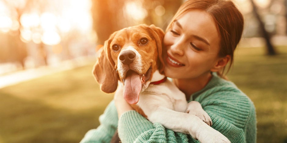 Diarrea en perros - Bienestar Beagle junto a su tutora. Los cuidados y nutrición correcta en casos de diarrea en perros le darán bienestar.