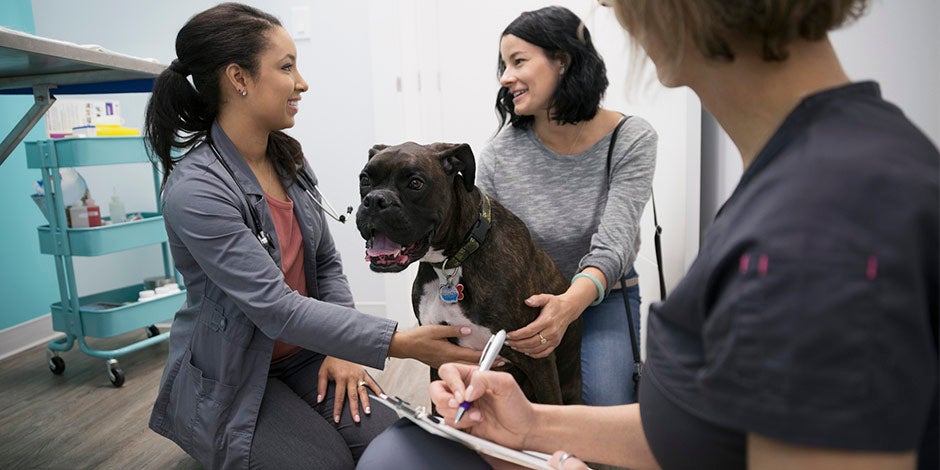 Diarrea en perros - Veterinaria Bóxer junto a sus tutoras y su veterinaria. En casos de diarrea en perros, contactá con el profesional.