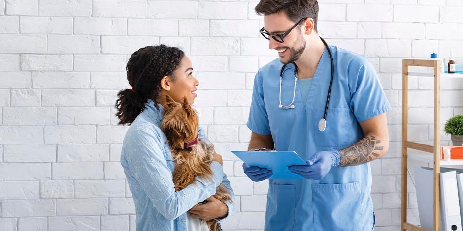 Veterinario hablando con tutora de Yorkie. Una consulta puede prevenir el estreñimiento en perros.