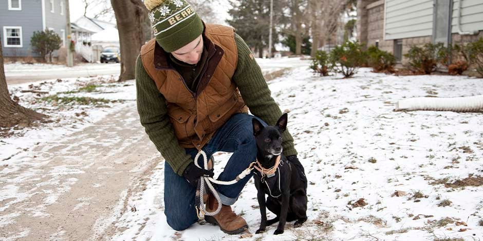 Problemas de piel en perros – Paseo en invierno Las temperaturas extremas pueden generar problemas de piel en perros. Tutor y mascota paseando en invierno.