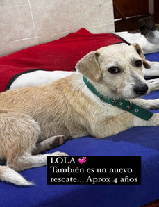 Lola
