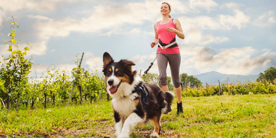 Los perros pueden comer ananá - Energía Los perros pueden comer ananá y recibir sus beneficios a su bienestar. Perro corriendo con su tutora.