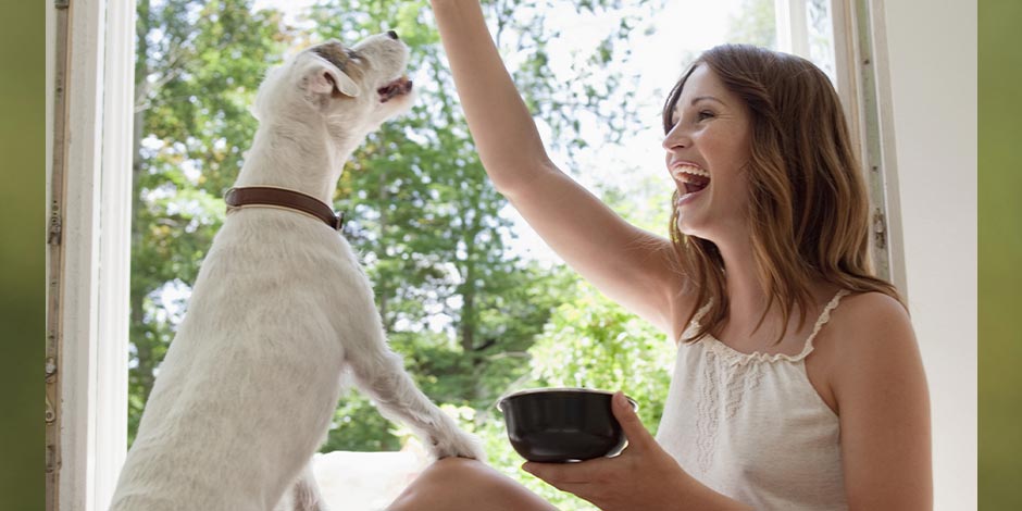 Los perros pueden comer frutillas ¿Los perros pueden frutillas? Tutora dando fruta a su mascota