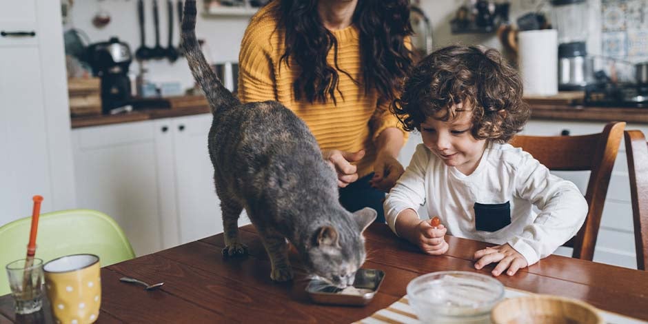 Sistema digestivo del gato – Familia con su gato Familia compartiendo con su gato. Una adecuada digestión indica que el sistema digestivo del gato está sano.