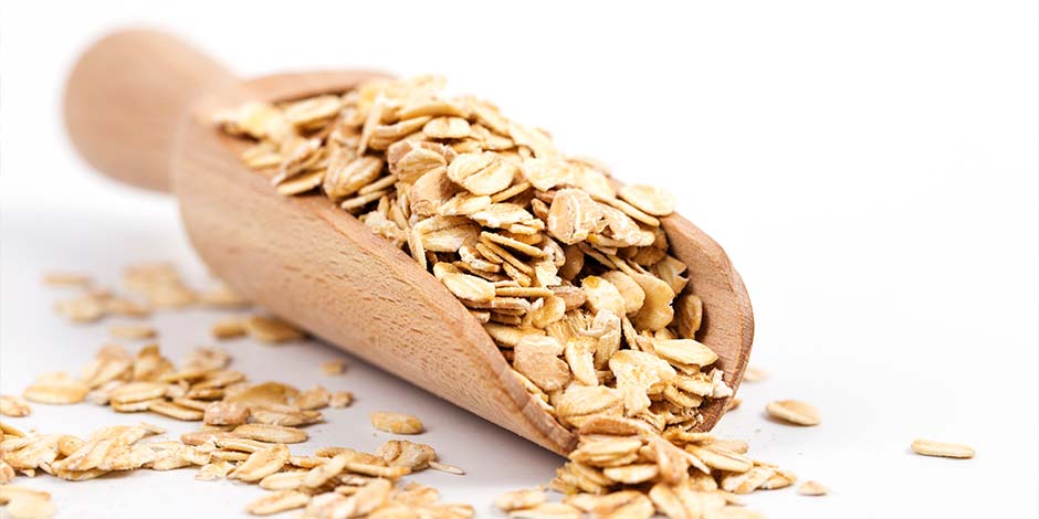 Los perros pueden comer avena - Hojuelas Los perros pueden comer avena, como la de la imagen, en presentación de hojuelas.