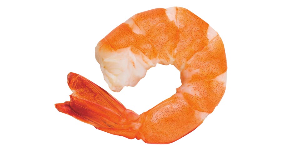 Los perros pueden comer camarones - Beneficios Los perros pueden comer camarones y les aportan múltiples beneficios. Conocelos. Vista lateral de camarón.