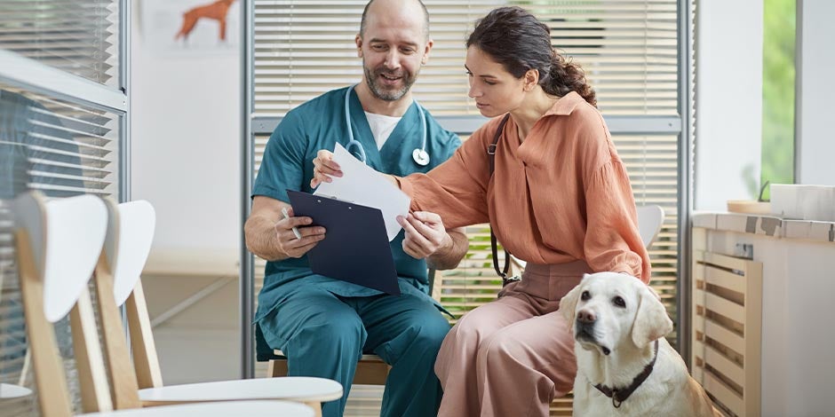 Los perros pueden comer pescado - Veterinario Los perros pueden comer pescado, pero con condiciones. Validá con el veterinario como hace esta tutora.