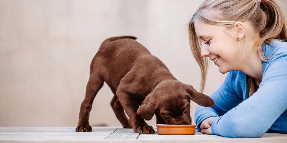 Tutora viendo comer a su cachorro. Descubrí cómo abrirle el apetito a un perro.