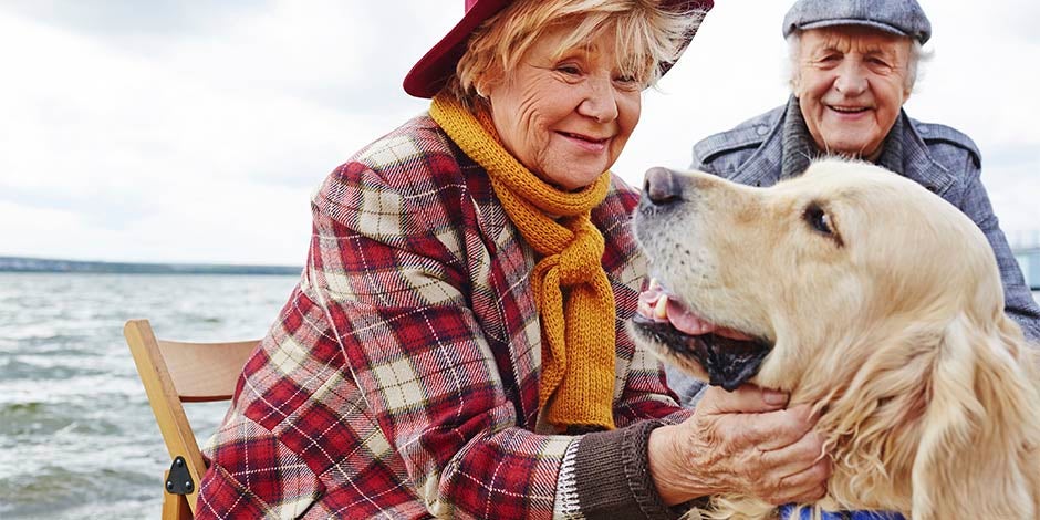 Pareja de ancianos junto a su golden retriever. Disfunción cognitiva en perros.