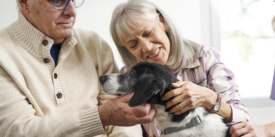 Disfunción cognitiva en perros. Pareja junto a su mascota senior.