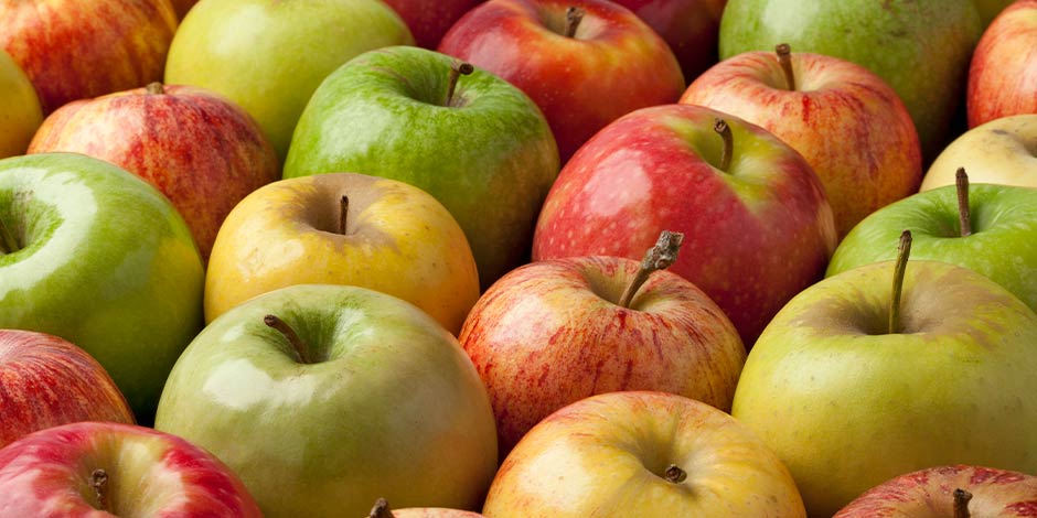 Los gatos pueden comer manzana - Beneficios Los gatos pueden comer manzana por sus beneficios. Diferentes clases de manzanas.