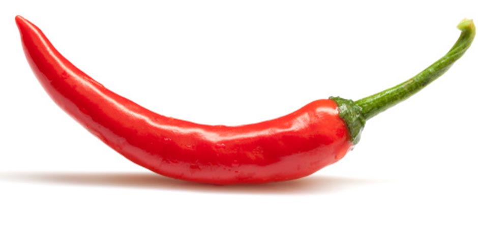 Los perros pueden comer pimiento - Picante Los perros pueden comer pimiento, salvo que les genere alergia o que sea uno picante, como el de la imagen.