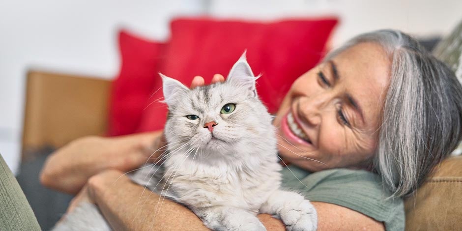 Comida para gatos con problemas renales - Cuidados Tutora y su mascota. Los cuidados del michi incluyen comida para gatos con problemas renales, si es necesario.