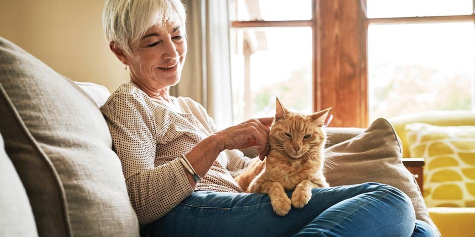 Comida para gatos con problemas renales - Senior Michi senior sobre el regazo de su tutor. Conocé la importancia de la comida para gatos con problemas renales.
