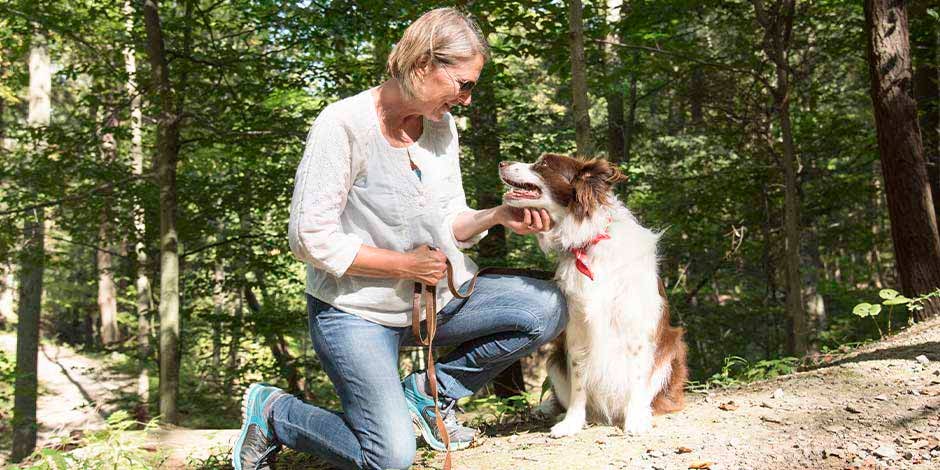 Los perros pueden comer yogur griego - Bienestar Los perros pueden comer yogur griego, con ciertas precauciones para su bienestar. Border collie con su tutora.