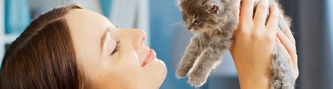 Mujer sosteniendo un gatito gris. Gatos en adopción