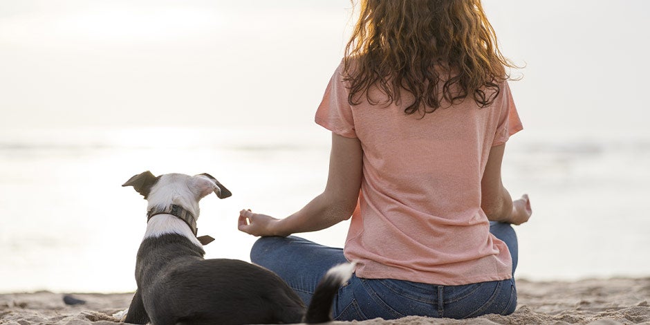 Por qué aúllan los perros – Tutora calmada Tutora meditando en la playa junto a su mascota. Saber por qué aúllan los perros ayudará a saber cómo actuar.
