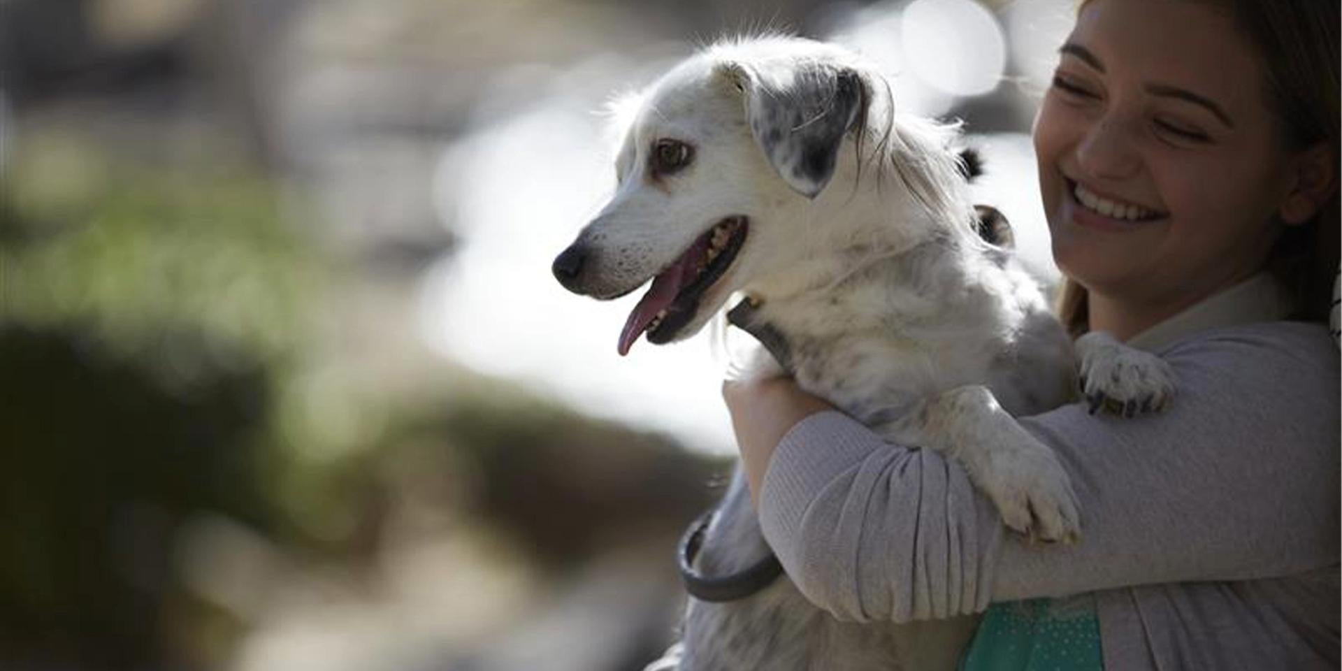 Perro sano siendo cargado por su tutora Perro sano siendo cargado por su tutora