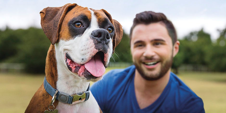 Conocé algunos datos curiosos de los perros. Bóxer junto a su tutor.