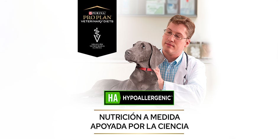Alergia en perros – Pro Plan