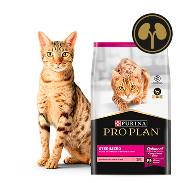 Alimento Pro Plan Sterilized para gatos castrados junto a felino en card