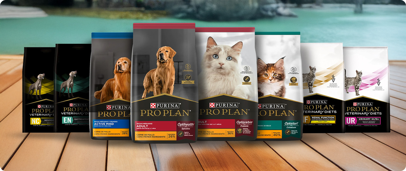 Variedad de productos Pro Plan para perros y gatos exhibidos en el home.