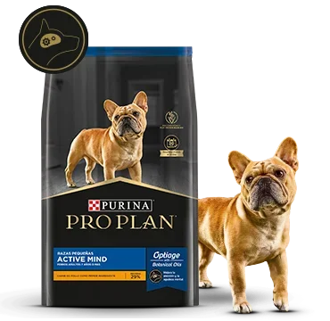 Alimento Pro Plan Active Mind con mascota en la card del alimento para perros senior